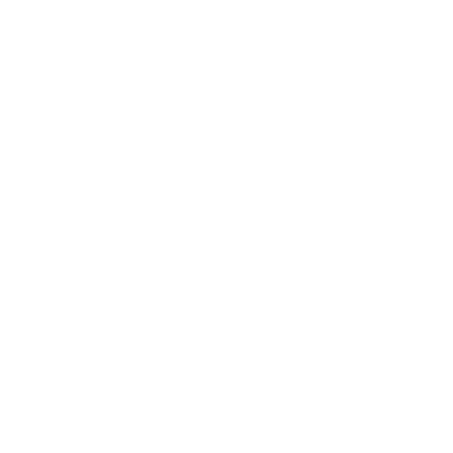 Customized Solutions